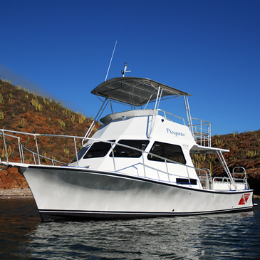 San Carlos Dive Boats