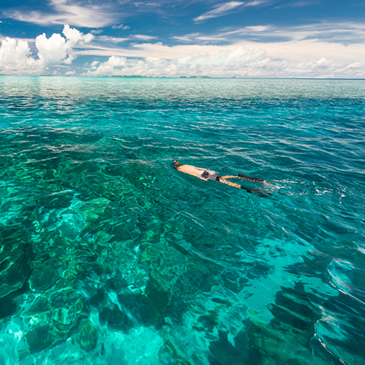 Snorkel Diver Training